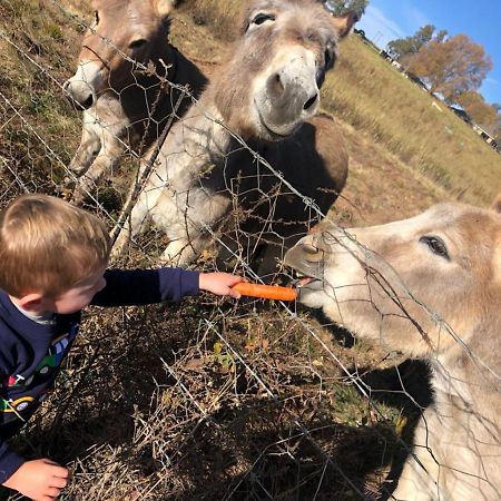 Blackbrook Farm Underberg Dış mekan fotoğraf