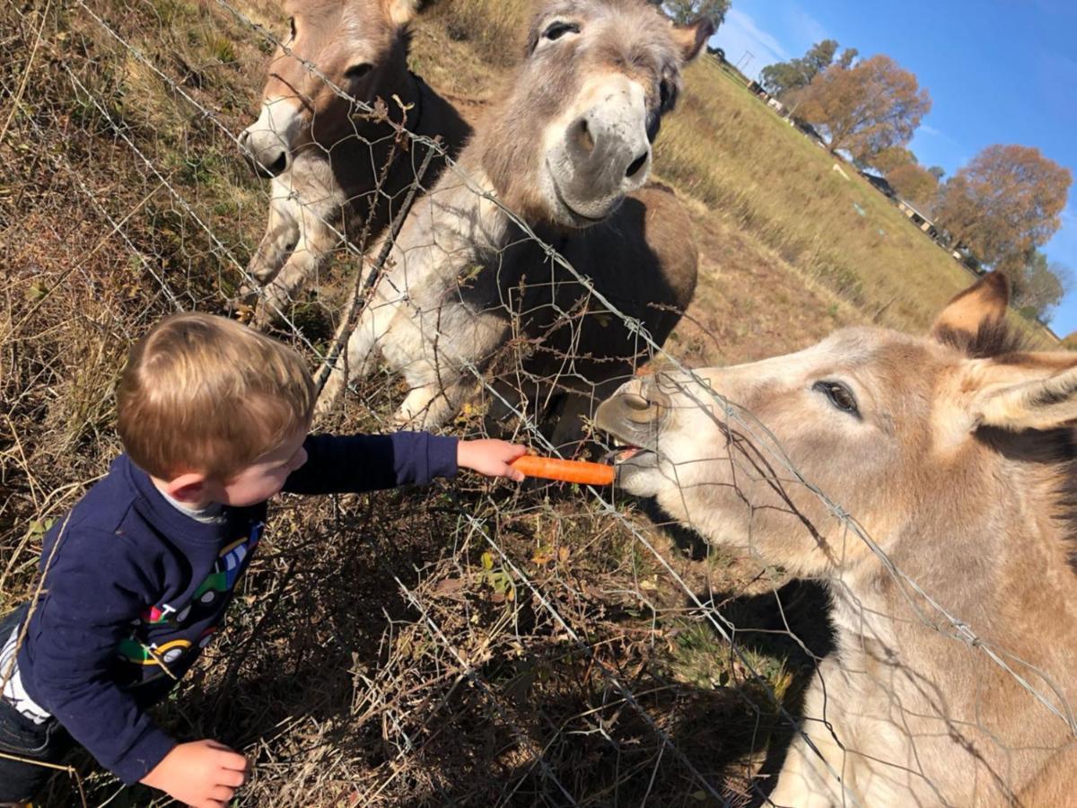 Blackbrook Farm Underberg Dış mekan fotoğraf