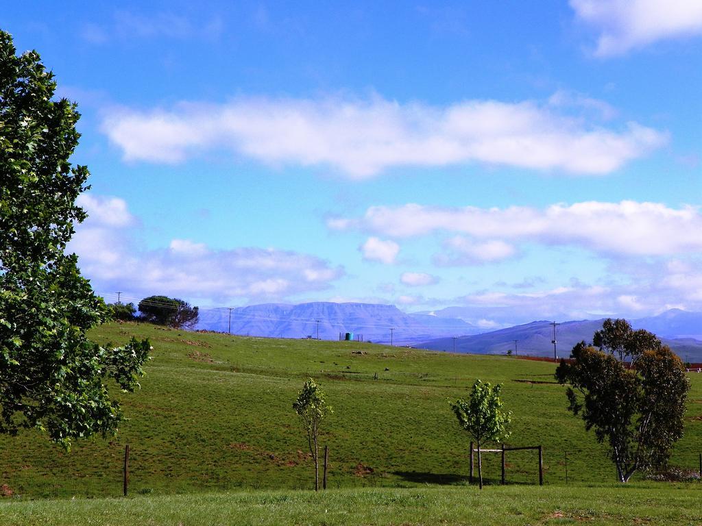 Blackbrook Farm Underberg Dış mekan fotoğraf